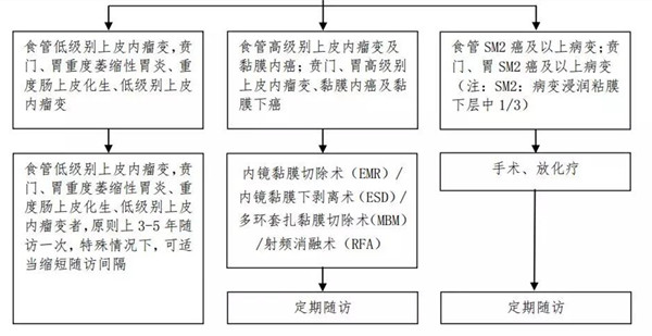 微信图片_20190802085408.jpg