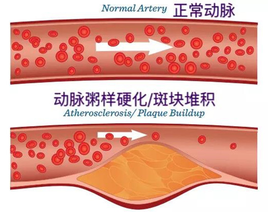 微信图片_20191012090001.jpg