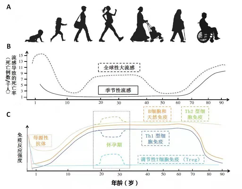 那些劝你自律的人都是傻x - 知乎