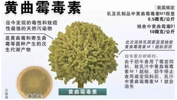 微信图片_20200507090354.png