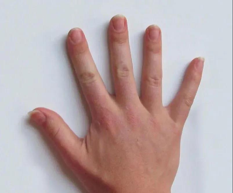 1638429073410680.jpg