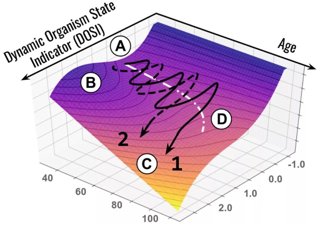 1639967407845118.jpg